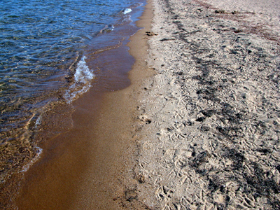 Lake Tahoe Beach